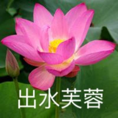 用于赛车运动车辆动力学测量的光...